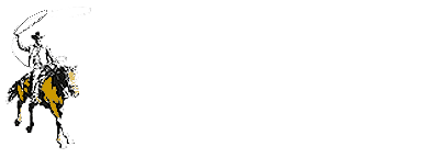 Fort worth insurance.png