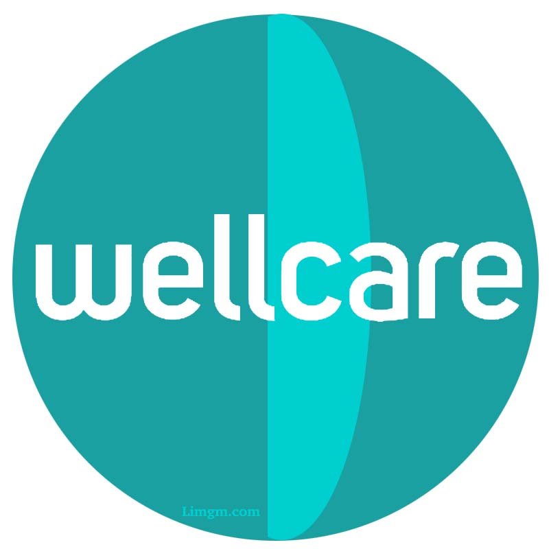 Wellcare Medicare Agent